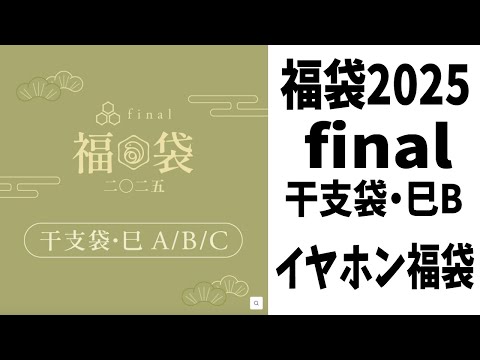 【福袋2025】final「干支袋・巳B」イヤホンの福袋・ファイナル