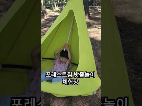 숲속에서 힐링하면서 즐거운 체험하고 왔네~~