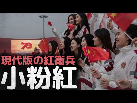 現代版の紅衛兵、小粉紅