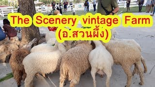 The Scenery vintage Farm อ สวนผึ้ง