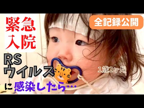 【RSウイルス】緊急入院した1歳2ヶ月女の子｜発症前の違和感～退院までの全記録