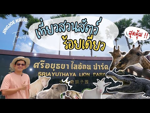 Sriayuthaya Lion Park  สวนสัตว์ ศรีอยุธยา ไลอ้อน ปาร์ค