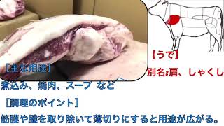 おいしい肉辞典 部位 特徴 ウデ シャクシ ミスジ