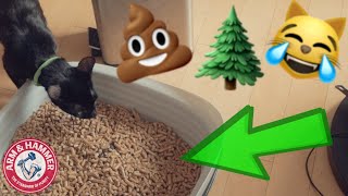 How To Use Arm and Hammer Sifting Litter Box with Pine Pellets