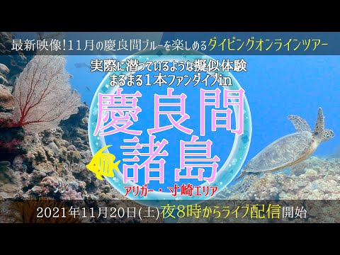 LIVE｜実際に潜っているような擬似体験！まるまる1本ファンダイブin慶良間諸島(アリガー・寸崎エリア) ジェイトリップLIVEダイビングオンラインツアー