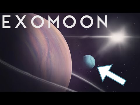 We Discovered a New Exomoon Candidate!!