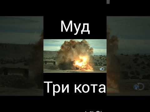 муд три кота "за чайником"