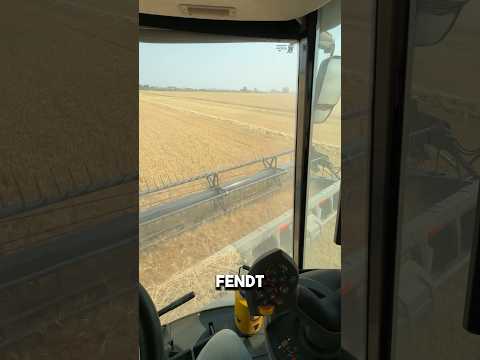 Cutting wheat at 5 miles an hour #farmer #farm #wheat #combine￼