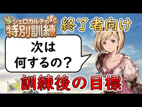 ［グラブル］特別訓練が終わった人向け・次の目標３選