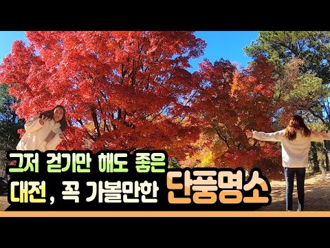 그저 걷기만 해도 좋은 대전, 꼭 가볼만한 단풍명소 🍁