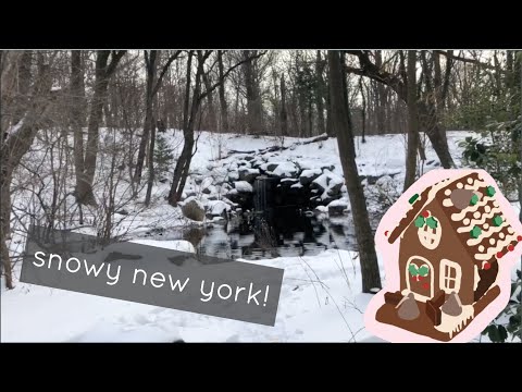 A Day in New York's Winter Wonderland | Vlog/Video Collage