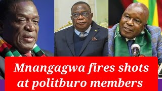 Angry Mnangagwa told Politburo members to stop discussing succession issue with media