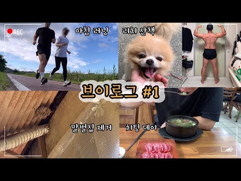 달리기는 즐겁지만 말벌은 무서운 주말 치팅데이 브이로그 EP.1