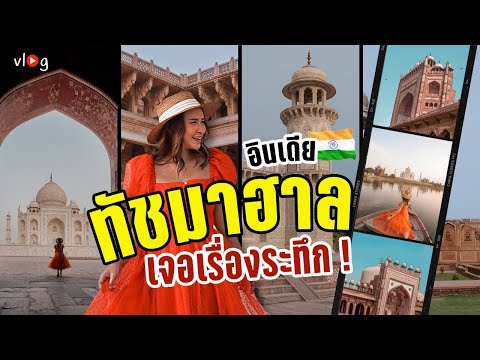 อินเดีย เที่ยวทัชมาฮาล แวะป้อมปราการเมืองอัครา เจอเจ้าถิ่นให้หยุดรถ India Vlog EP2 | Tiewjourney