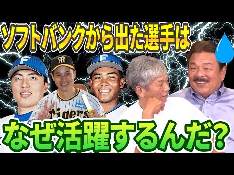 ⑤【禁断の質問】藤本前監督の時に在籍した田中正義、水谷瞬、大竹耕太郎はなぜ大活躍したのか？ずばり理由を教えて【藤本博史】【高橋慶彦】【広島東洋カープ】【プロ野OB】【福岡ソフトバンクホークス】