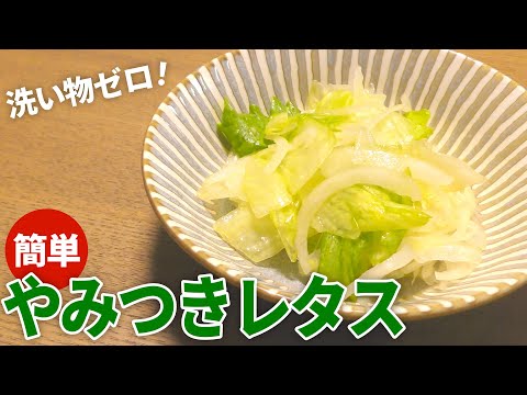 【レタス レシピ】洗い物ゼロで超簡単！やみつきレタスの作り方【目分量】