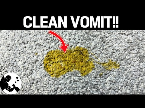 How To Clean Vomit From Carpet!