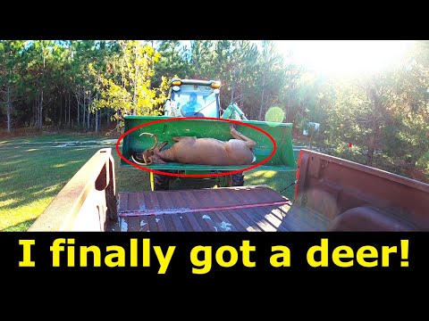 I finally got a deer! Whitetail deer hunting