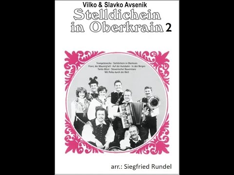 Stelldichein in Oberkrain 2  - Vilko & Slavko Avsenik