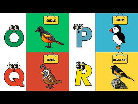 ABC Bird Song 🐦 | Fun Alphabet Song for Kids | Learn Birds from A to Z | #abcd #kids