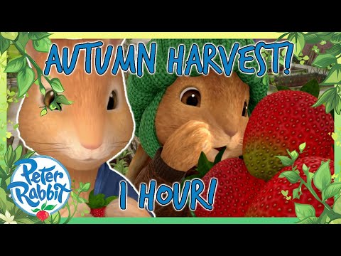 @OfficialPeterRabbit - 🥕🍒 The Great Vegetable Hunt! 🍒🥕 | 1 HOUR | Cartoons for Kids