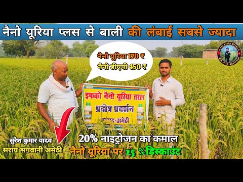 नेनो यूरिया से धान की बाली भी मोटी और उत्पाद में भी अधिक #agriculture #नैनो यूरिया #नैनो डीएपी #