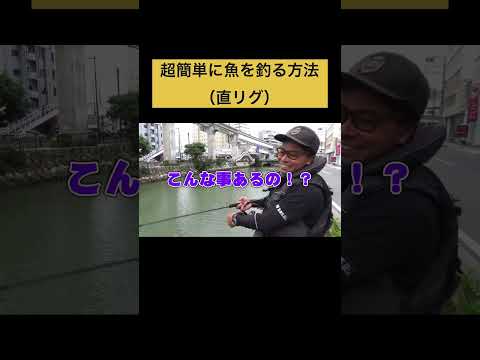 超簡単に魚を釣る方法(直リグ)