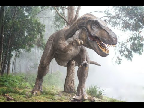 優優恐龍特輯---霸王龍Tyrannosaurus