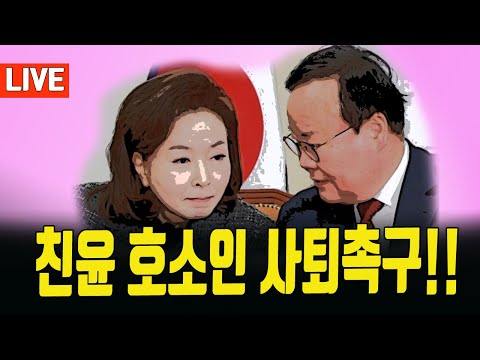 국힘당사앞 시끌벅쩍!!! 친윤호소인 도주행/ 2024.12.02. [황경구시사파이터]