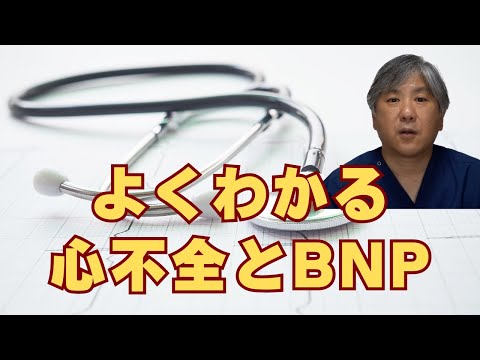 【血液検査でわかる】心不全とBNP