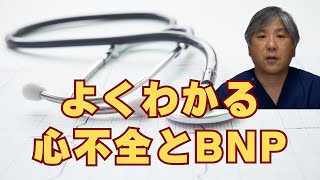 【血液検査でわかる】心不全とBNP