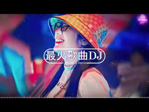 2024夜店舞曲 【 DJ抖音版 2024】 2024年最新dj歌曲 ♪ 2024全中文舞曲串烧- 全中文DJ舞曲 高清 新2024夜店混音 ♪ 串烧 dj china remix 2024