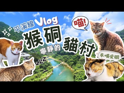 平溪線 ‧ 猴硐貓村Vlog｜探訪寧靜可愛的貓咪村落、擁有百年歷史的運煤橋、陶醉在猴硐山城美景中！平溪一日遊