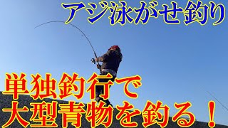 【防波堤・アジ泳がせ釣り】単独釣行で大型青物ＧＥＴ～♪撮影も成功してきました☆＃釣り＃防波堤＃防波堤釣り＃泳がせ釣り＃アジ泳がせ釣り＃泳がせウキ釣り＃青物＃大型青物＃ブリ＃ハマチ＃ウキ釣り