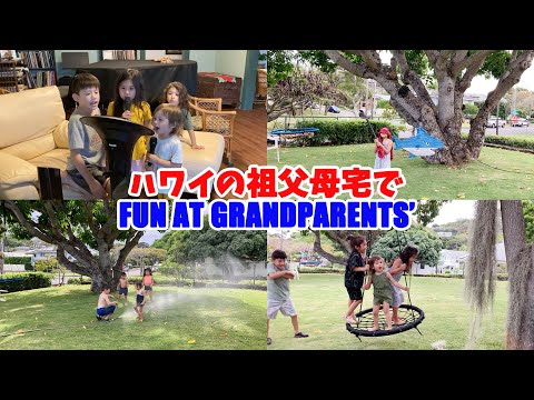 ハワイの祖父母宅での楽しい時間 Fun at Grandparents in Hawaii