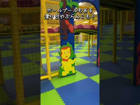 【Hug me kids】in苫小牧　孫連れて行ってみた！ハグミーキッズは大人も遊べる格安の遊び場だった。