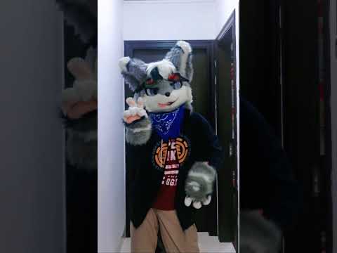 Do anyone remember the #ponponpon song？ Let's do the #handdance #踊ってみた #furrytiktok #furry