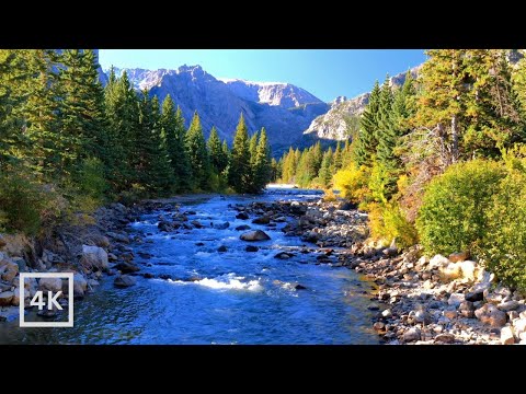 4K Mountain River Rapids in Evergreen Forest | Relaxing Nature Ambience | Water Sounds White Noise