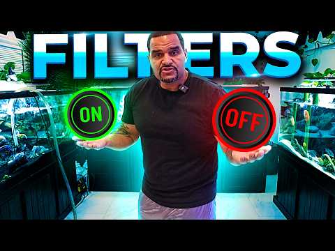 STOP Making This Mistake with Your Filter During Water Change