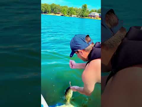 Surf and Cast! Who says you can’t fish on a wake boat? #wakesurf #lakelife #fishing #boating