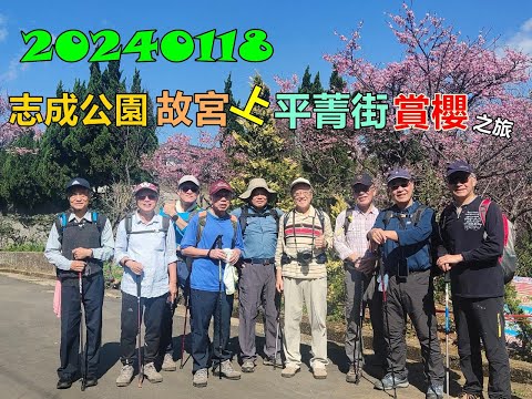 20240118 志成公園故宮上平菁街賞櫻之旅