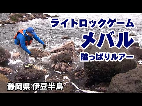 伊豆半島でメバル狙いのライトロックゲーム！ ２/2 『SALT X 7 新保明弘×静岡県伊豆半島 ライトロックフィシュゲーム』イントロver.【釣りビジョン】その②