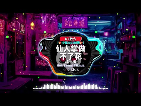 🔝中國最好的歌曲 2025 DJ 排行榜中國【大陸流行歌曲】2025必听网路红歌精选 ~ 楊一棋 - 仙人掌做不了花 / 陳泳彤 - 說散就散 / 一隻白羊 - 賜我 ~ DJ抖音版新2025