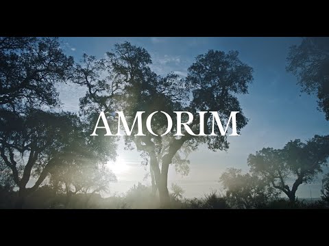 Amorim: 150 Years of History