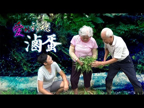 古早味【愛的銷魂滷蛋】食譜│《66到你家》EP012