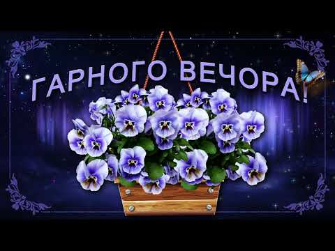 🌜Гарного вечора, друзі!🌜