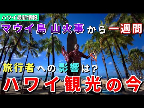 ［ハワイの今］大災害から1週間...旅行者数に変化は？日本人観光客は増えている？【ハワイ最新情報】【ハワイの今】【ハワイ旅行2023】【HAWAII】