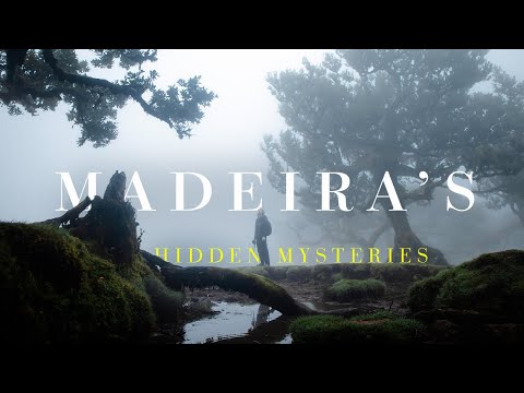 Madeira's Best Hidden Mysteries | Fanal, Risco & Fontes Hike