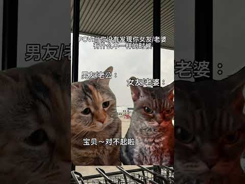 POV:当你没有发现你女友/老婆有什么不一样的时候 #cat #猫咪 #cute 可爱 #生气 #委屈 #哭哭