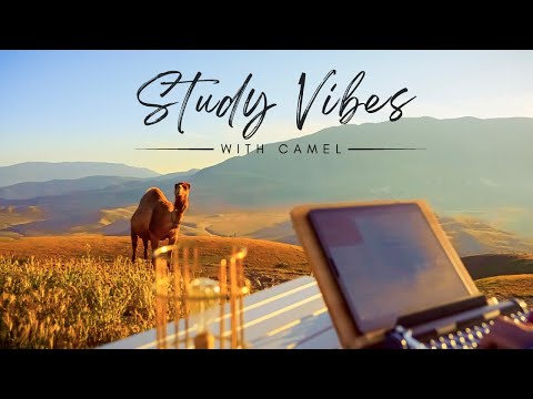 🐪💫 Dreamy Study Escape: Your Ultimate Camel Ranch Study Retreat! Soothing Ranch ASMR | 50/10 Timer